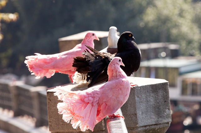 凯尔：中立球迷可能认为平局很公平，但多特本应把三分带回家